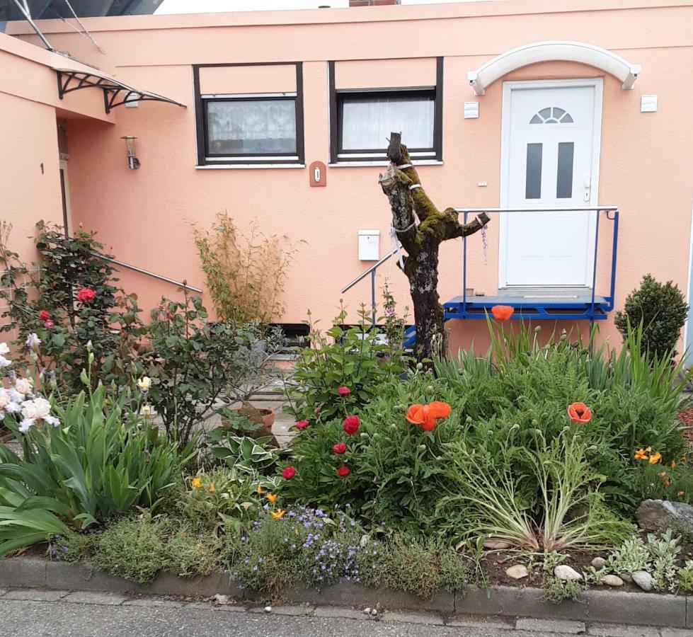 Flat Appartement Offenburg Buitenkant foto