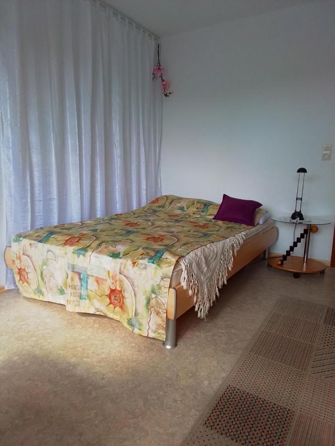 Flat Appartement Offenburg Buitenkant foto