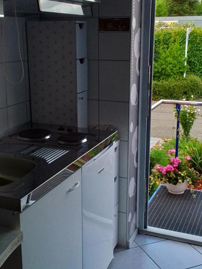 Flat Appartement Offenburg Buitenkant foto